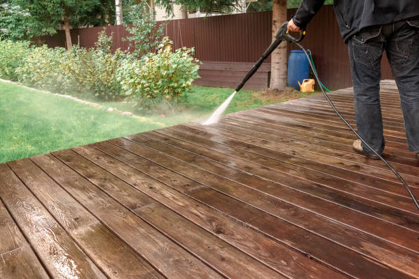 Best Pre-Holiday Cleaning  in Wolf Point, MT