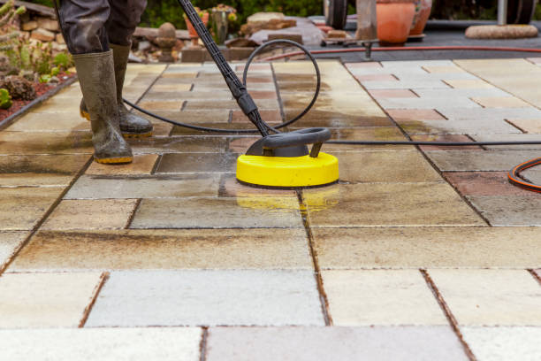Best Driveway Pressure Washing  in Wolf Point, MT